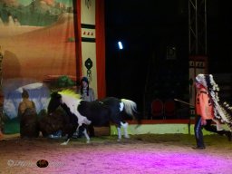 Circus YAKARI Show am 04.10.2024